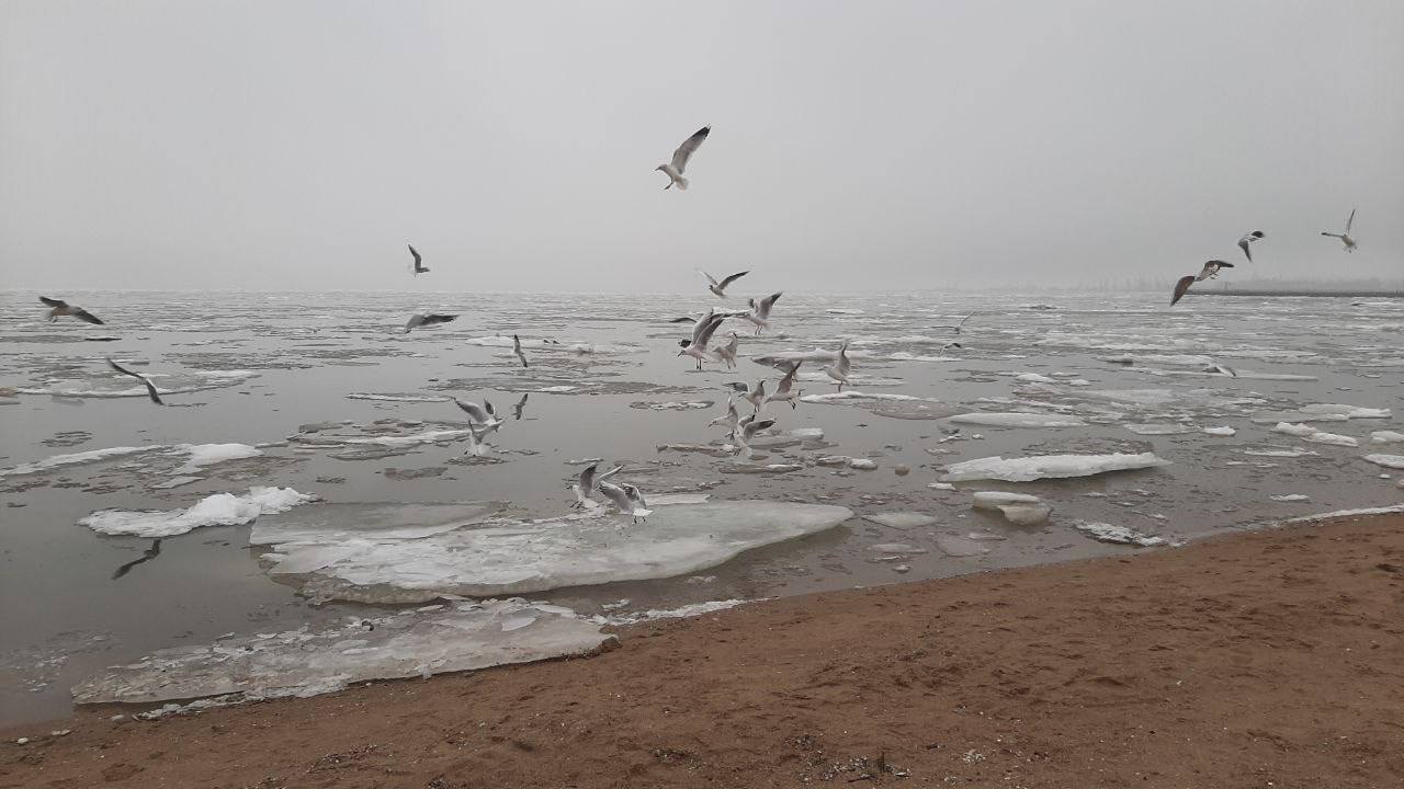 Солнечный Мариуполь вам в ленту, друзья!